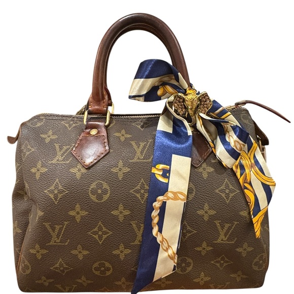 Louis Vuitton Speedy 25 with Blue and Gold Scarf and Brooch - Picture 1 of 9